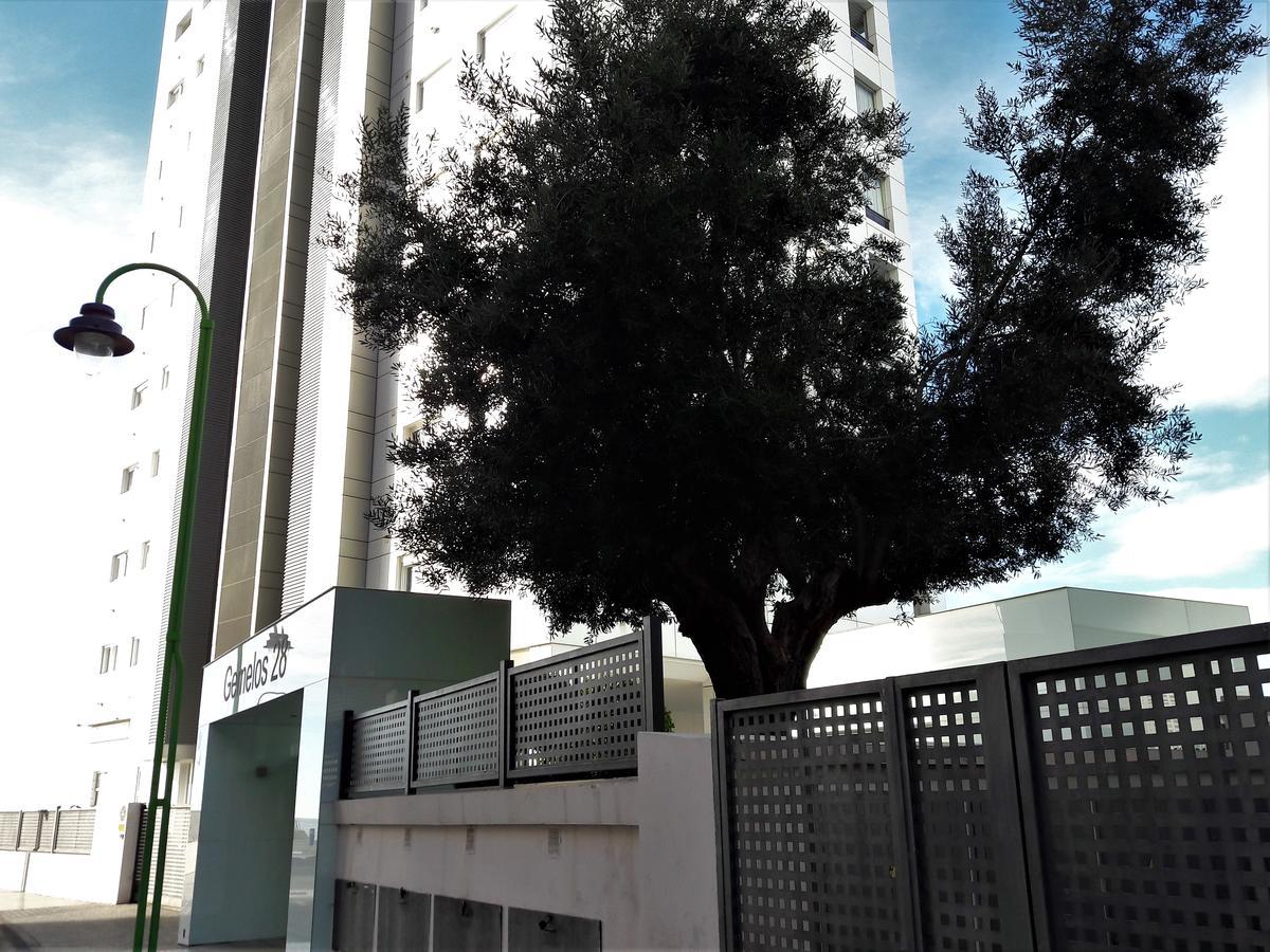 Gemelos Primera Linea Apartment Benidorm Luaran gambar